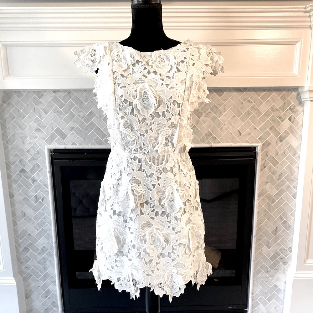 Endless rose cap sleeve appliqué dress